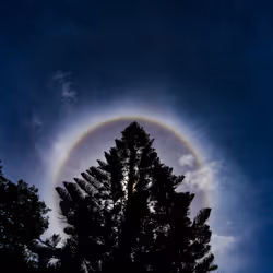 항목 미디어 플레이스홀더