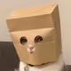 Anonymous Cat NFT