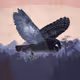 Cute Animalia - old
