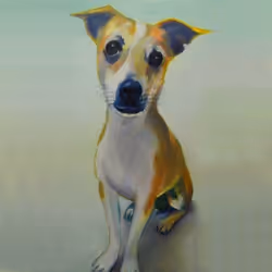 Item Media Placeholder