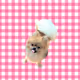 cute dog - ShUNiJxHVk