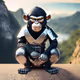 Ninja Monkey Collection