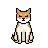 CuteSadShiba