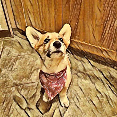 Corgi Yacht Club