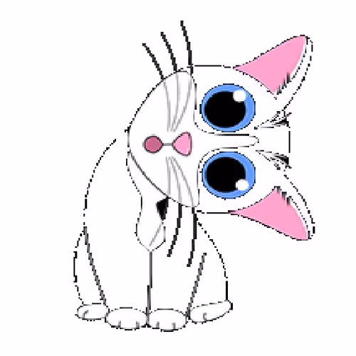 Cutie Crypto Curious Cats