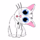 Cutie Crypto Curious Cats