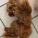 Cutiest image you have ever seen!