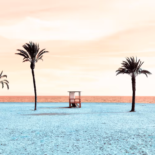 Cyan & Coral