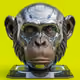 Cyber Apes: Terminal Cards