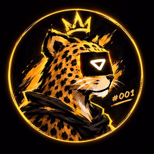 Cyber Cheetahs