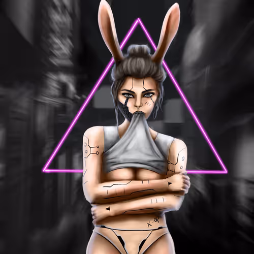 CyberBunny-X - old