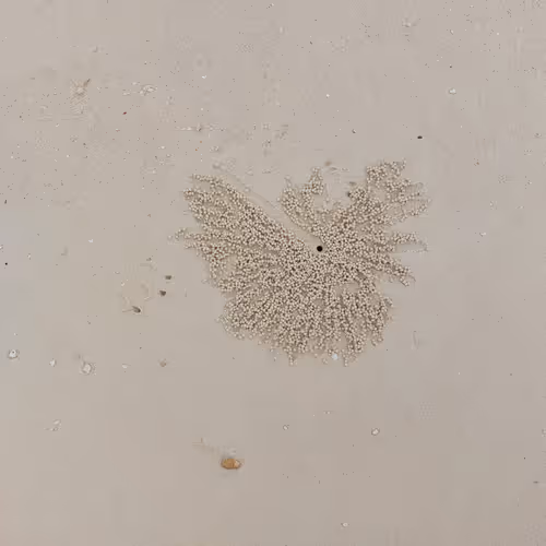 Unique Sands Collection