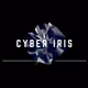 Cyber Iris