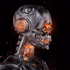 Cyborg Skull's - old