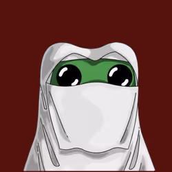 Espace réservé aux médias de l'article