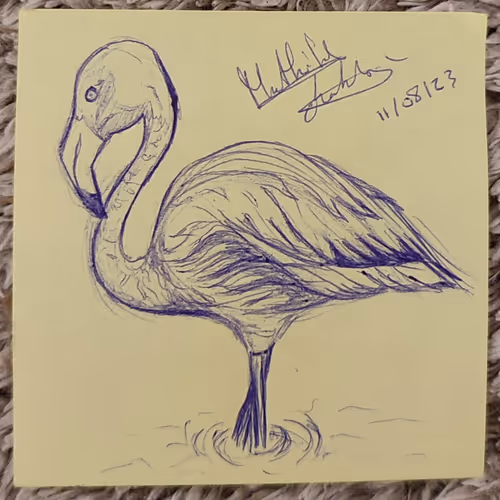 Flamingo