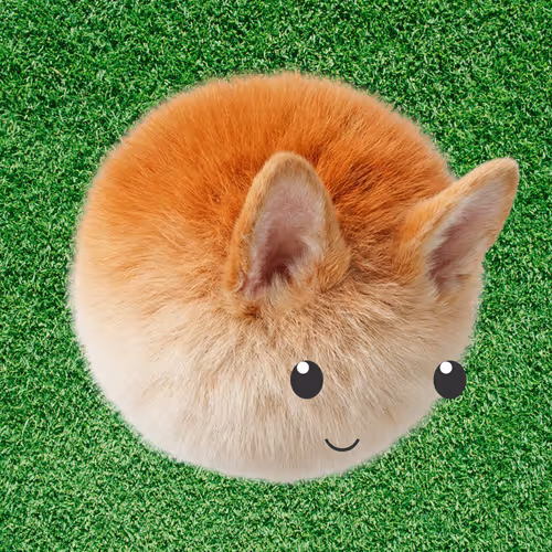 Da Corgi Button