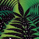 Da non-funGiBle curated cannabis KolleckTion