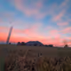 Dairy Farm Scenes