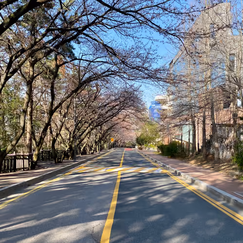 Dalmaji Hill Collection, South Korea
