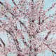 Damien Hirst H9 Cherry Blossom
