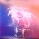 Dance to Dream