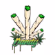 Dandy PFP - old