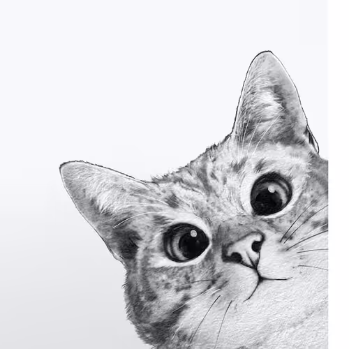 Dank Meme Socialites