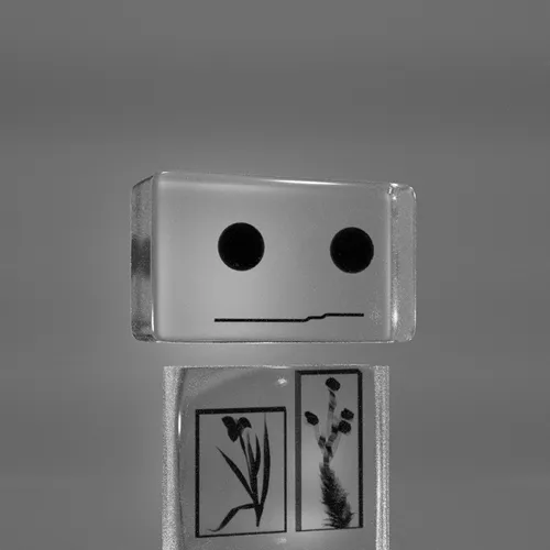 DANKBOTS // SPECIAL EDITIONS