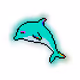 Dapper Dolphins