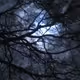 dark skies original