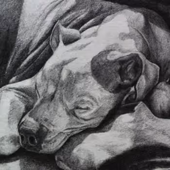 Darkoff13 drawing