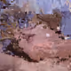 Datamosh Me - old