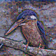 Birds_of_a_Feather - old