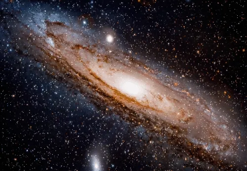 David Dayag's 3D Animated Collection