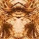 Leonardo Da Vinci: 1/1 Secret Image NFT: Self Portrait