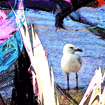 Davmandy Collection Polygon