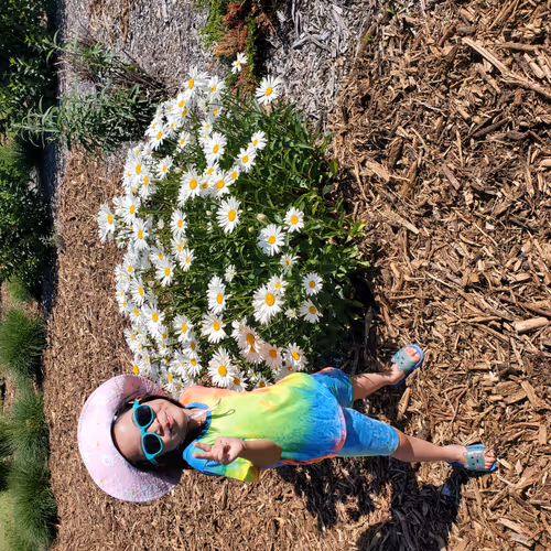 Dawn's Artwork - old