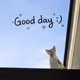 day by day 