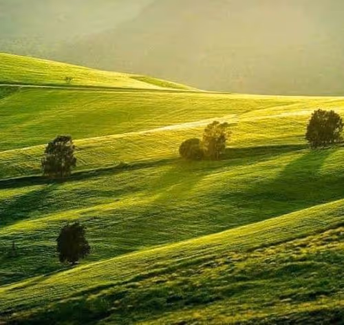 dazuma Collection - old