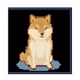 Dazzling Doge