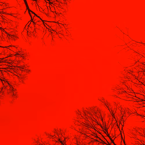 Cyber Thinking - Dead nature