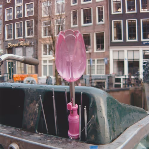 Dead Umbrellas