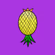 Land of The Debaucherous Pineapples