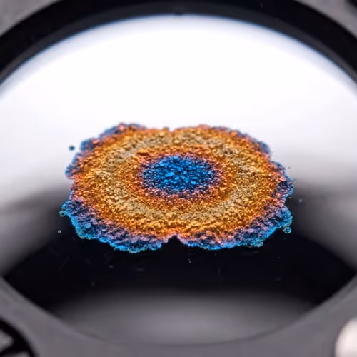 Decomposition Psalms: The Beauty of Decay