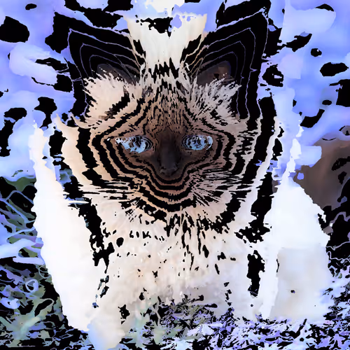 Deconstructed Cats - old