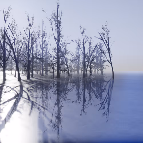 deconstruction of a winter landscape