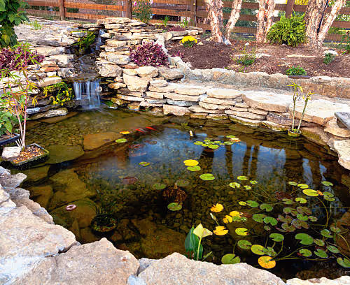 Decorative koi pond in a garden V2