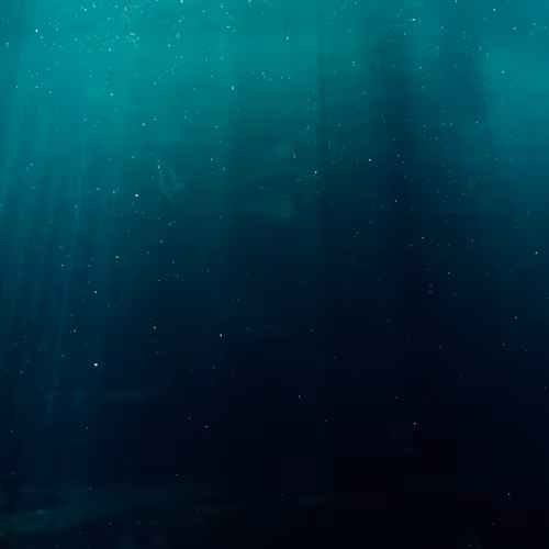DeeepSea