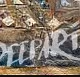 Deep Art Curacao